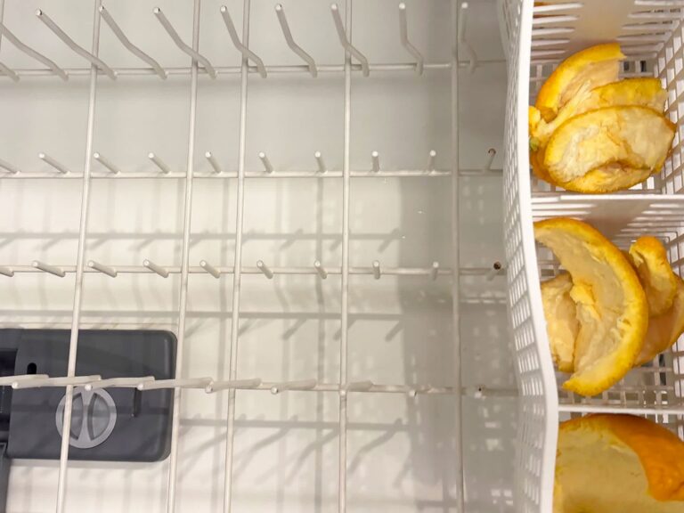 Home Kitchen Hacks and the Mechanics of Citrus Scrap Dishwasher Cycles